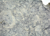 36.26g Eucrite Breccia Slice I HED Northeast Africa 110