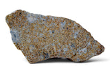 7.76g EL6 Enstatite Chondrite Meteorite End Piece I NWA 7401