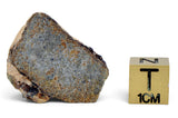 4.76g EL6 Enstatite Chondrite Meteorite I NWA 7401