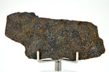 18.76g Errachidia 004 I Winonaite Anomalous Primitive Achondrite Meteorite End Piece