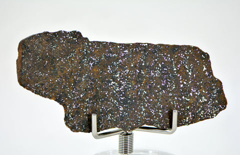 18.76g Errachidia 004 I Winonaite Anomalous Primitive Achondrite Meteorite End Piece