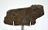 18.76g Errachidia 004 I Winonaite Anomalous Primitive Achondrite Meteorite End Piece