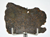 9.25g Errachidia 004 I Winonaite Anomalous Primitive Achondrite Meteorite End Piece