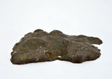 9.25g Errachidia 004 I Winonaite Anomalous Primitive Achondrite Meteorite End Piece