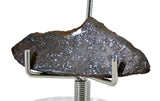 2.2g Errachidia 004 I Winonaite Anomalous Primitive Achondrite Meteorite Slice