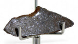 2.2g Errachidia 004 I Winonaite Anomalous Primitive Achondrite Meteorite Slice