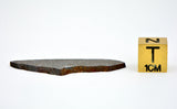 2.2g Errachidia 004 I Winonaite Anomalous Primitive Achondrite Meteorite Slice