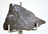 3.28g Errachidia 004 I Winonaite Anomalous Primitive Achondrite Meteorite Slice