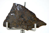 3.28g Errachidia 004 I Winonaite Anomalous Primitive Achondrite Meteorite Slice