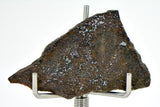 3.28g Errachidia 004 I Winonaite Anomalous Primitive Achondrite Meteorite Slice