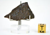 3.28g Errachidia 004 I Winonaite Anomalous Primitive Achondrite Meteorite Slice