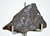 3.28g Errachidia 004 I Winonaite Anomalous Primitive Achondrite Meteorite Slice