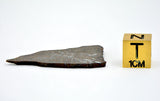 3.28g Errachidia 004 I Winonaite Anomalous Primitive Achondrite Meteorite Slice