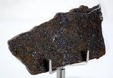 7.98g Errachidia 004 I Winonaite Anomalous Primitive Achondrite Meteorite Slice