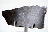 7.98g Errachidia 004 I Winonaite Anomalous Primitive Achondrite Meteorite Slice