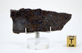 7.98g Errachidia 004 I Winonaite Anomalous Primitive Achondrite Meteorite Slice