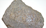 8.68g Errachidia 004 I Winonaite Anomalous Primitive Achondrite Meteorite Slice
