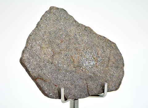 8.68g Errachidia 004 I Winonaite Anomalous Primitive Achondrite Meteorite Slice