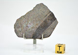 8.68g Errachidia 004 I Winonaite Anomalous Primitive Achondrite Meteorite Slice