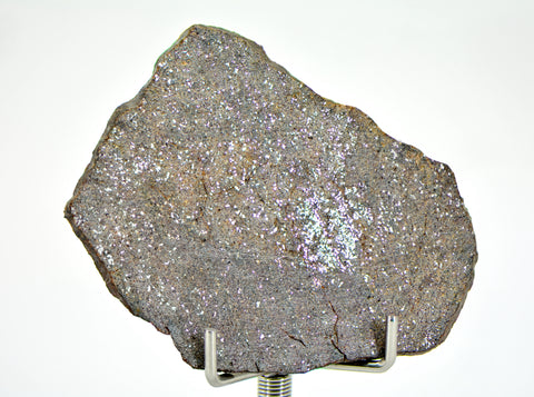 8.6g Errachidia 004 I Winonaite Anomalous Primitive Achondrite Meteorite Slice