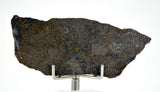 9.11g Errachidia 004 I Winonaite Anomalous Primitive Achondrite Meteorite Slice