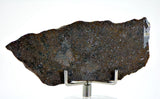 9.11g Errachidia 004 I Winonaite Anomalous Primitive Achondrite Meteorite Slice