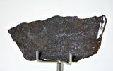 9.11g Errachidia 004 I Winonaite Anomalous Primitive Achondrite Meteorite Slice