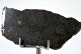 9.11g Errachidia 004 I Winonaite Anomalous Primitive Achondrite Meteorite Slice