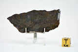 9.11g Errachidia 004 I Winonaite Anomalous Primitive Achondrite Meteorite Slice