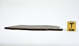 9.11g Errachidia 004 I Winonaite Anomalous Primitive Achondrite Meteorite Slice