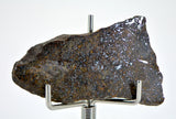 5.75g Errachidia 004 I Winonaite Anomalous Primitive Achondrite Meteorite Slice