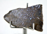 5.75g Errachidia 004 I Winonaite Anomalous Primitive Achondrite Meteorite Slice