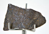 5.75g Errachidia 004 I Winonaite Anomalous Primitive Achondrite Meteorite Slice
