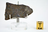 5.75g Errachidia 004 I Winonaite Anomalous Primitive Achondrite Meteorite Slice