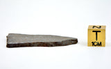5.75g Errachidia 004 I Winonaite Anomalous Primitive Achondrite Meteorite Slice