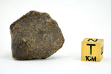 19.06g Errachidia 004 Winonaite Anomalous Primitive Achondrite Meteorite