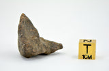 19.06g Errachidia 004 Winonaite Anomalous Primitive Achondrite Meteorite