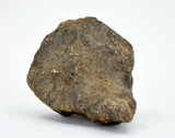 19.06g Errachidia 004 Winonaite Anomalous Primitive Achondrite Meteorite