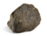 19.06g Errachidia 004 Winonaite Anomalous Primitive Achondrite Meteorite
