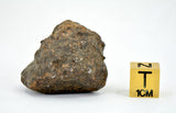 30.59g Errachidia 004 I Winonaite Anomalous Primitive Achondrite Meteorite