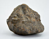 30.59g Errachidia 004 I Winonaite Anomalous Primitive Achondrite Meteorite