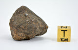 30.59g Errachidia 004 I Winonaite Anomalous Primitive Achondrite Meteorite