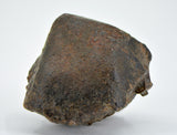 30.59g Errachidia 004 I Winonaite Anomalous Primitive Achondrite Meteorite