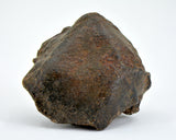 30.59g Errachidia 004 I Winonaite Anomalous Primitive Achondrite Meteorite