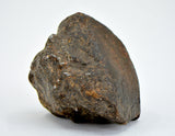 30.59g Errachidia 004 I Winonaite Anomalous Primitive Achondrite Meteorite
