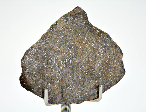 16.13g Errachidia 004 I Winonaite Anomalous Primitive Achondrite Meteorite End Piece