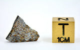 0.95g FERMO Chondrite H 3-5 Meteorite Slice I Italy Fall 2009 with Rare Book