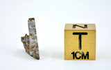 0.95g FERMO Chondrite H 3-5 Meteorite Slice I Italy Fall 2009 with Rare Book