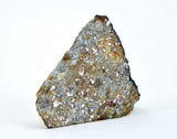 0.95g FERMO Chondrite H 3-5 Meteorite Slice I Italy Fall 2009 with Rare Book
