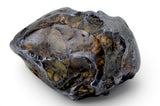 6.72g GRIZIM 003 Pallasite Meteorite